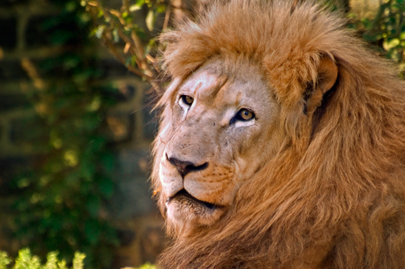 Philadelphia Zoo
